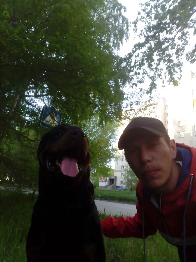 ���� 43944947 ������� ����, 37 ���, ���� ���������� � ������������