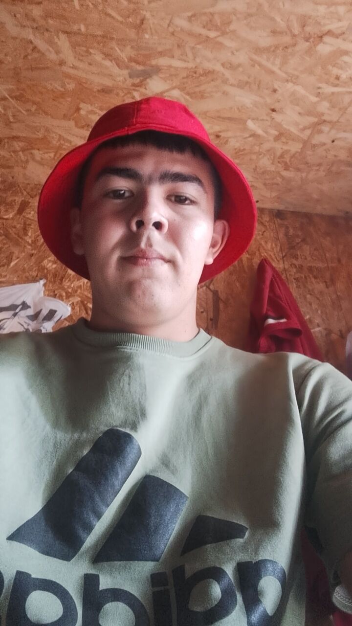 ���� 36937967 ����� �����, 24 ����, ���� ���������� � �����-����������