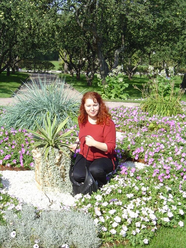 ���������� ��������, ���� ������� ������, 55 ���, ������������ ��� ������, ����� � ���������, c�������� ���������