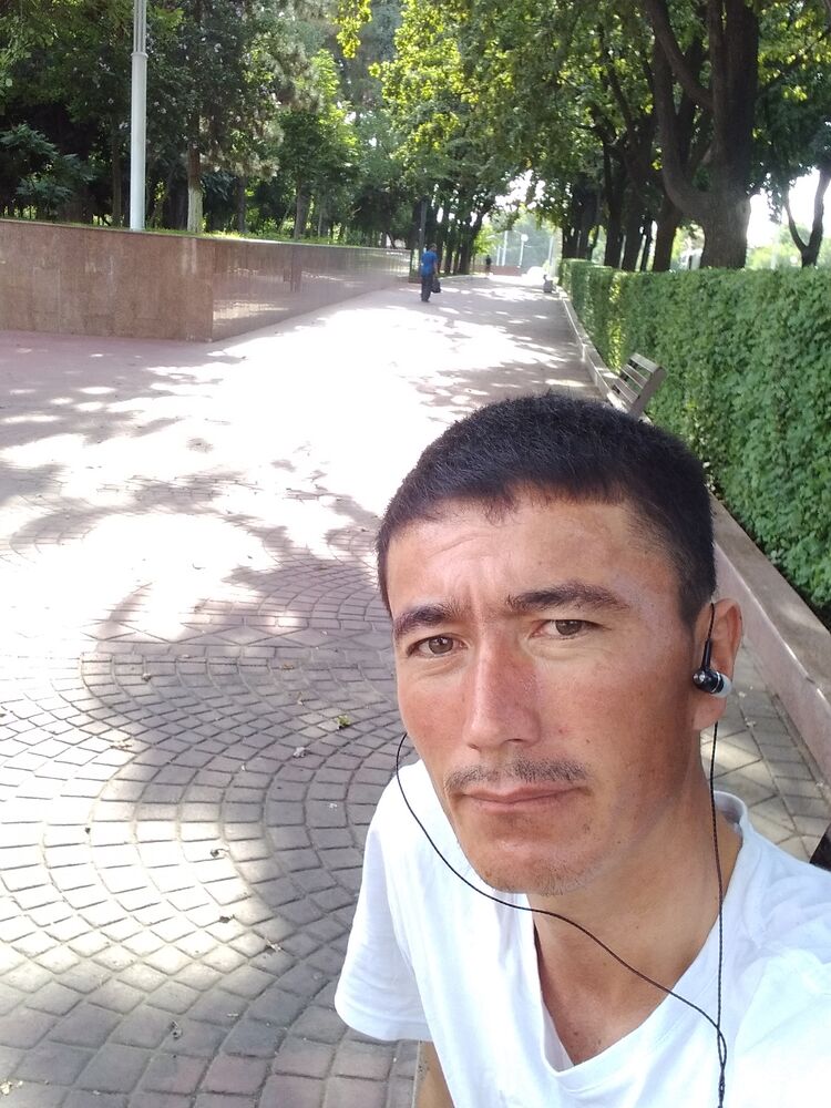  35292107  , 36 ,    -