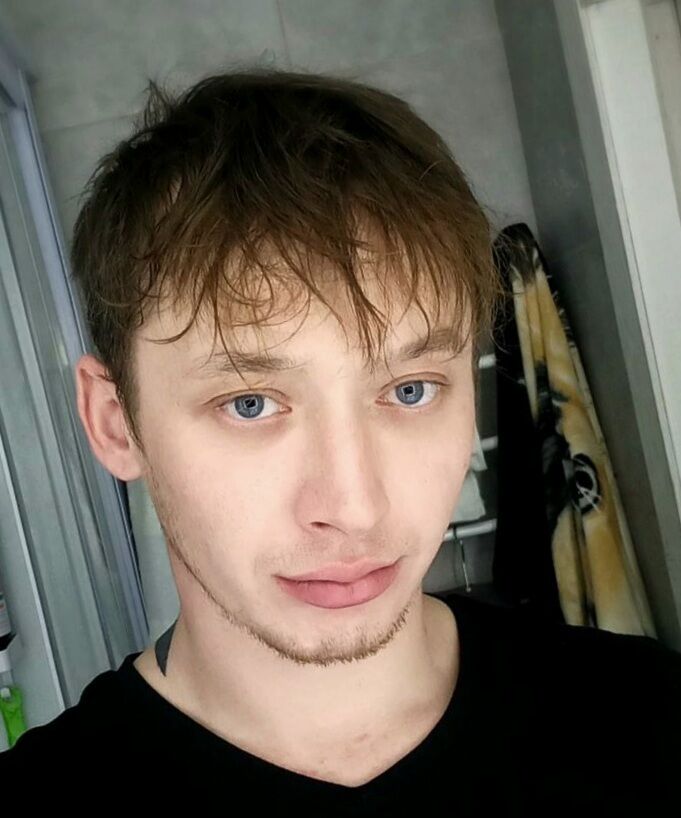  53355237  , 28 ,    