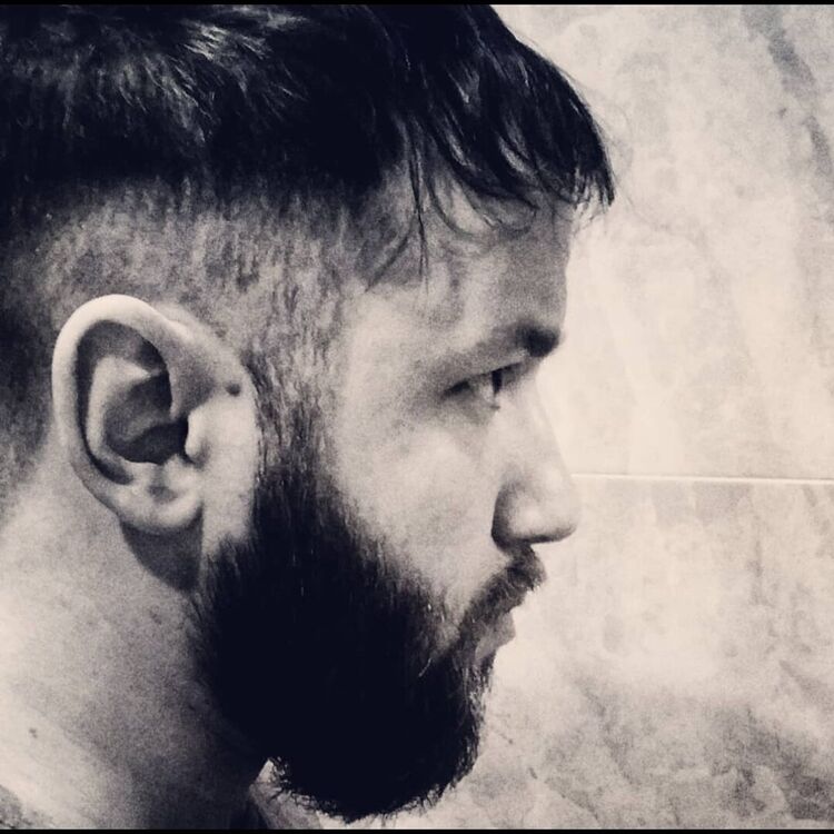  40347887  , 36 ,    