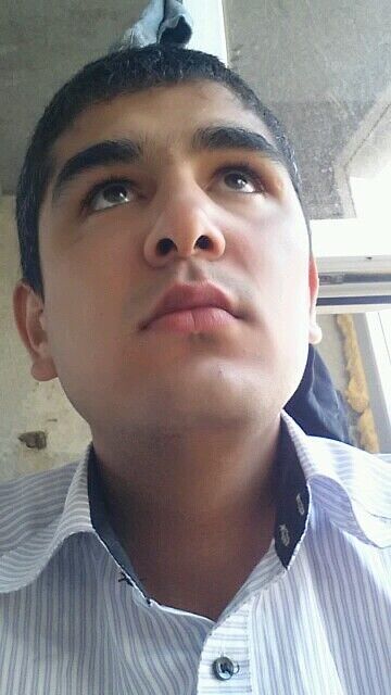  45286397  , 31 ,    