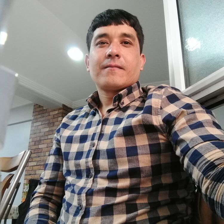  -,   , 38 ,   ,   