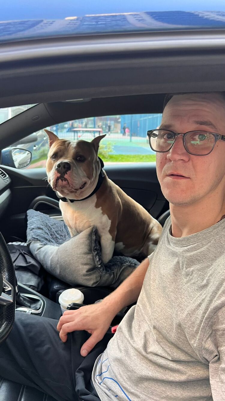 ���������� ������, ���� ������� �����, 33 ����, ������������ ��� ������, ����� � ���������