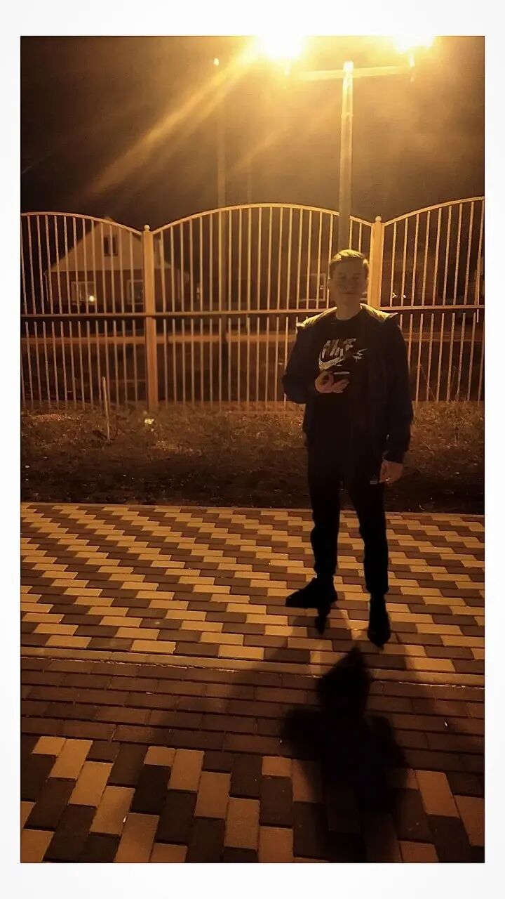  29294727  , 24 ,    