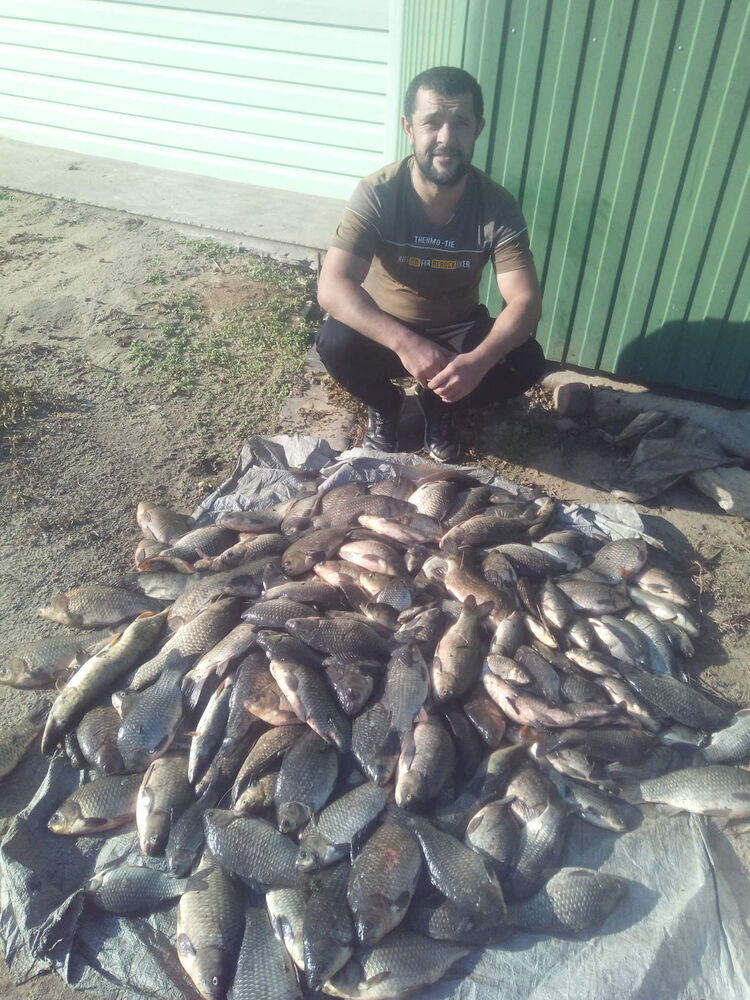 ���������� �����������, ���� ������� ����, 37 ���, ������������ ��� ������, ����� � ���������, c�������� ���������, ���������