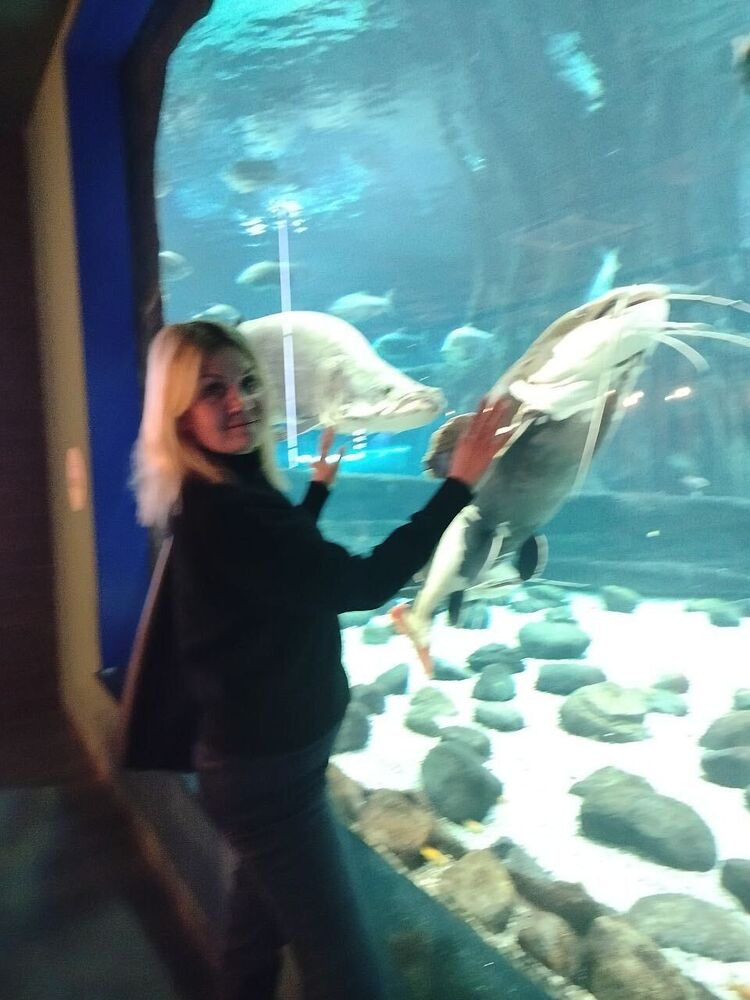 ���� 55486097 ������� �����, 48 ���, ���� ���������� � ������