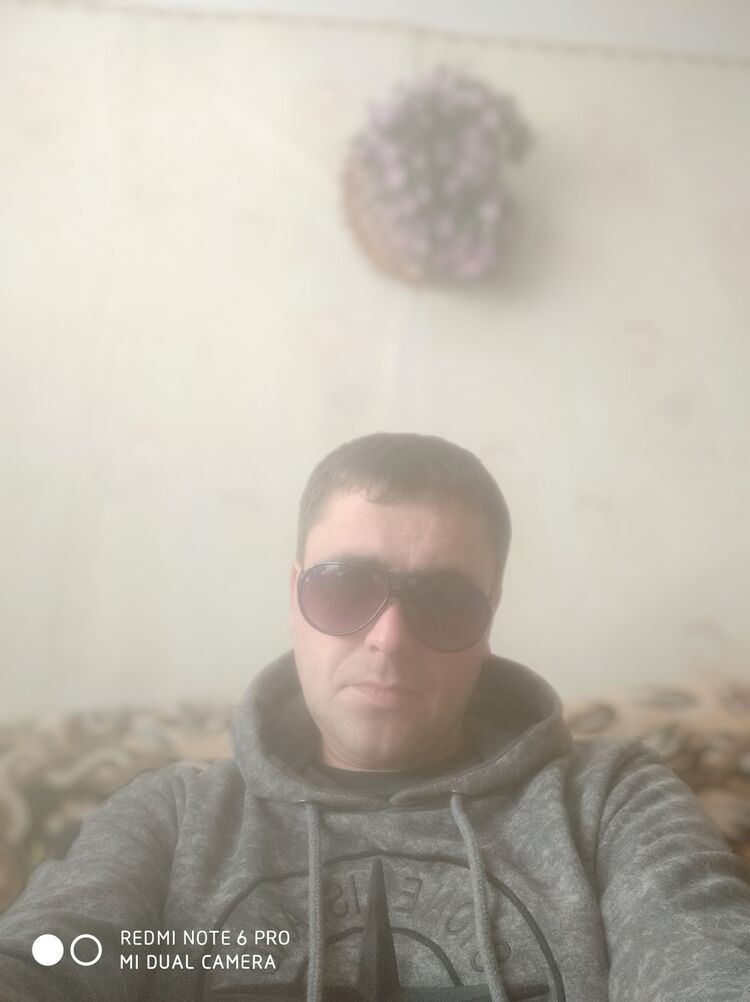  17608397  , 43 ,    
