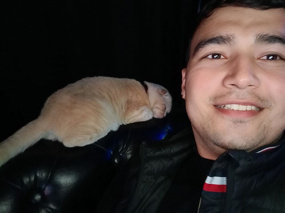 ���������� ����, ���� ������� Artur, 27 ���, ������������ ��� ������, ����� � ���������