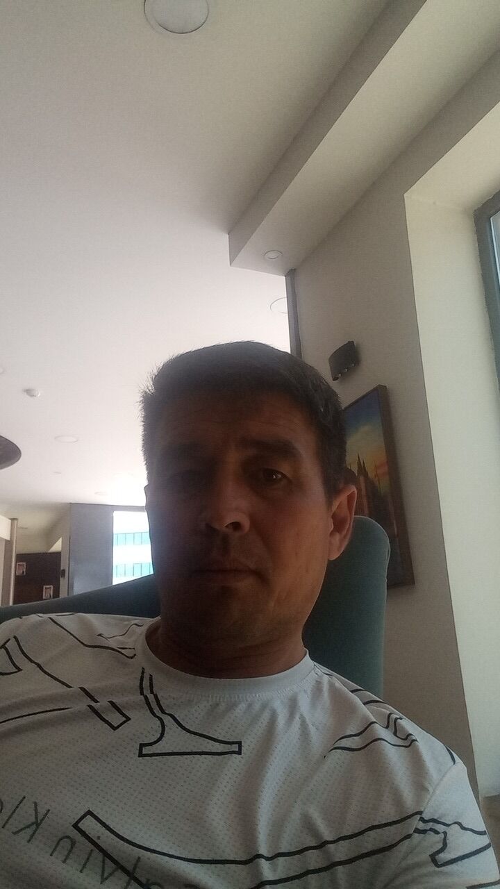  49608647  , 43 ,    