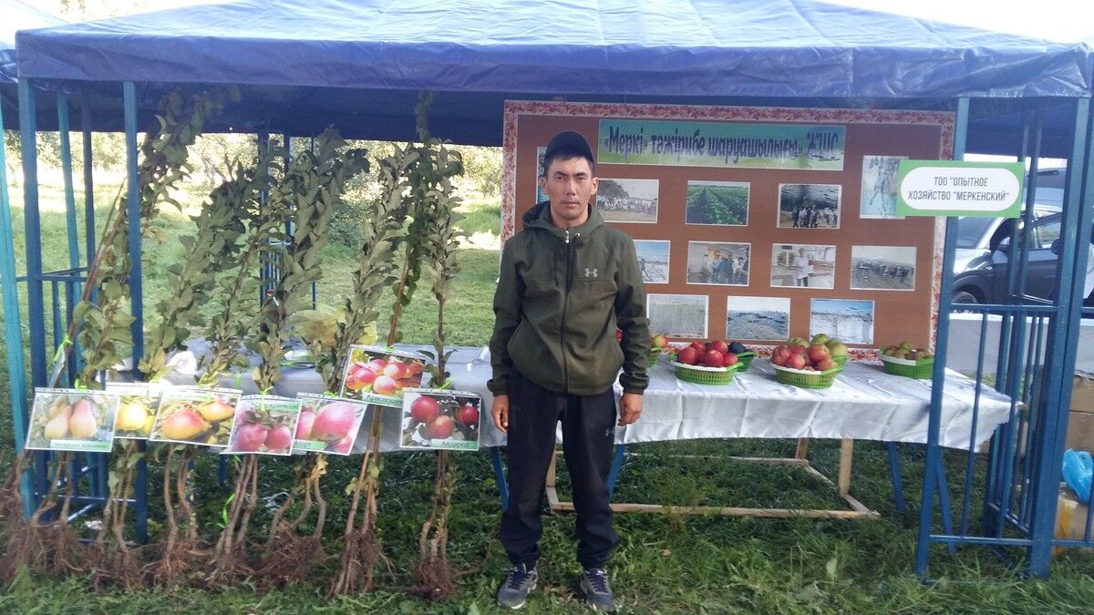  18621187  Dimas, 35 ,    