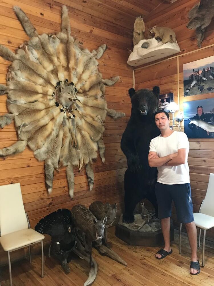 ���� 24100497 ������� �����, 43 ����, ���� ���������� � ������