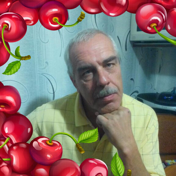  24247737  , 64 ,     