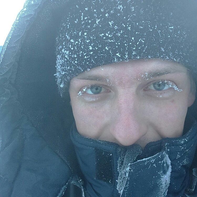 ���� 8777147 ������� ����, 38 ���, ���� ���������� � ���������