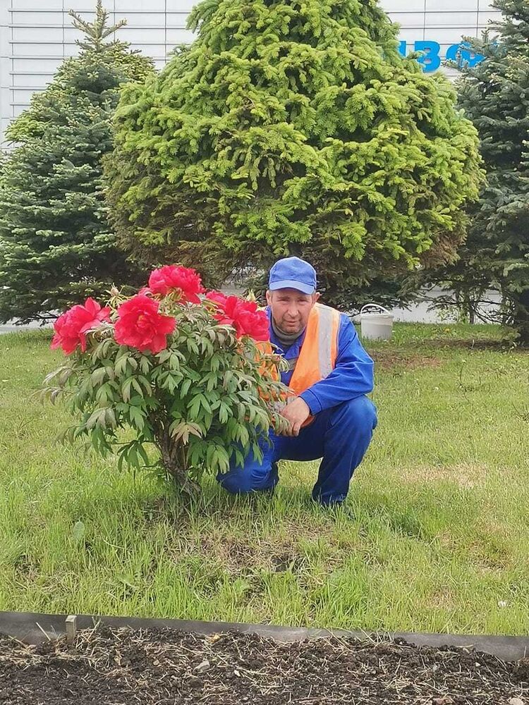 ���������� �����������, ���� ������� ����, 49 ���, ������������ ��� ������, ����� � ���������