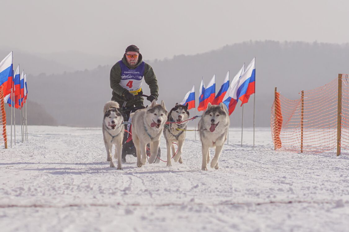 ���� 40986577 ������� Grom, 33 ����, ���� ���������� � ������������