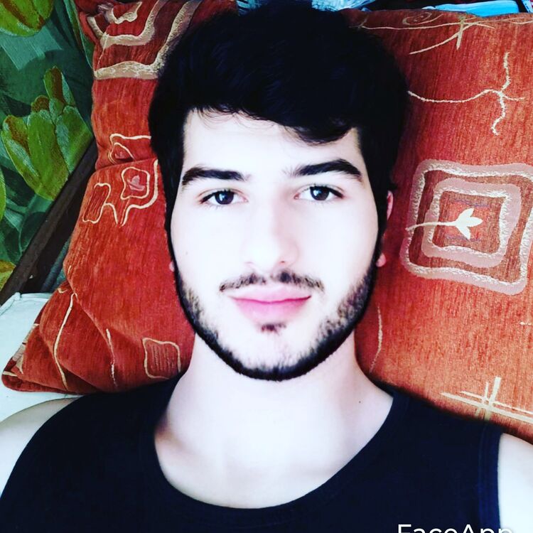  28833937  , 28 ,    