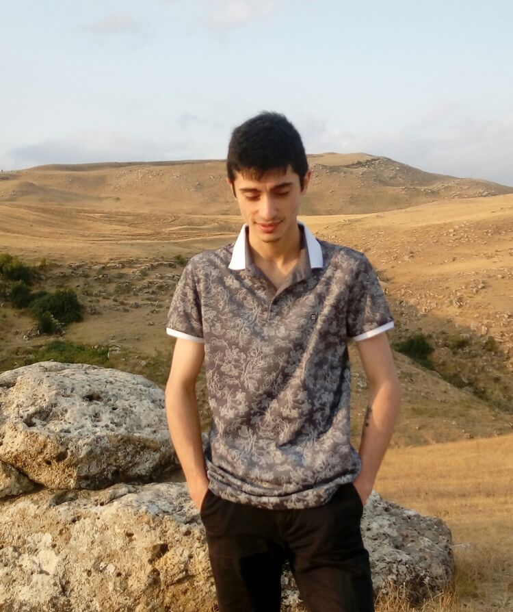  29315647  , 30 ,    