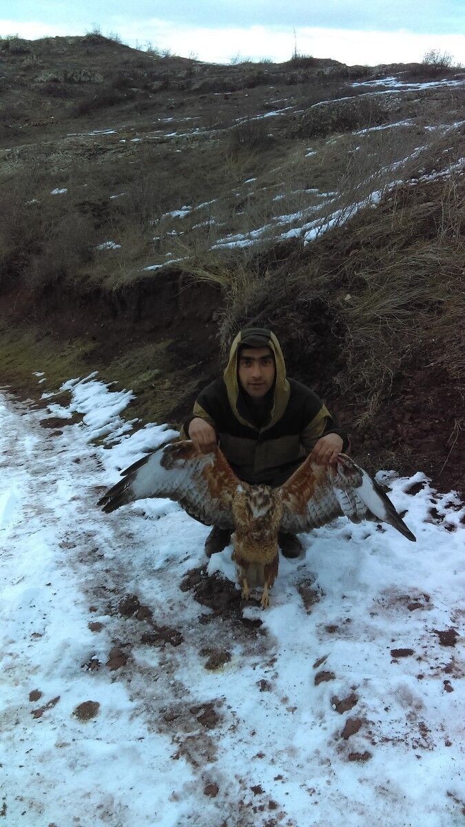 ���������� ������, ���� ������� ����, 36 ���, ������������ ��� ������