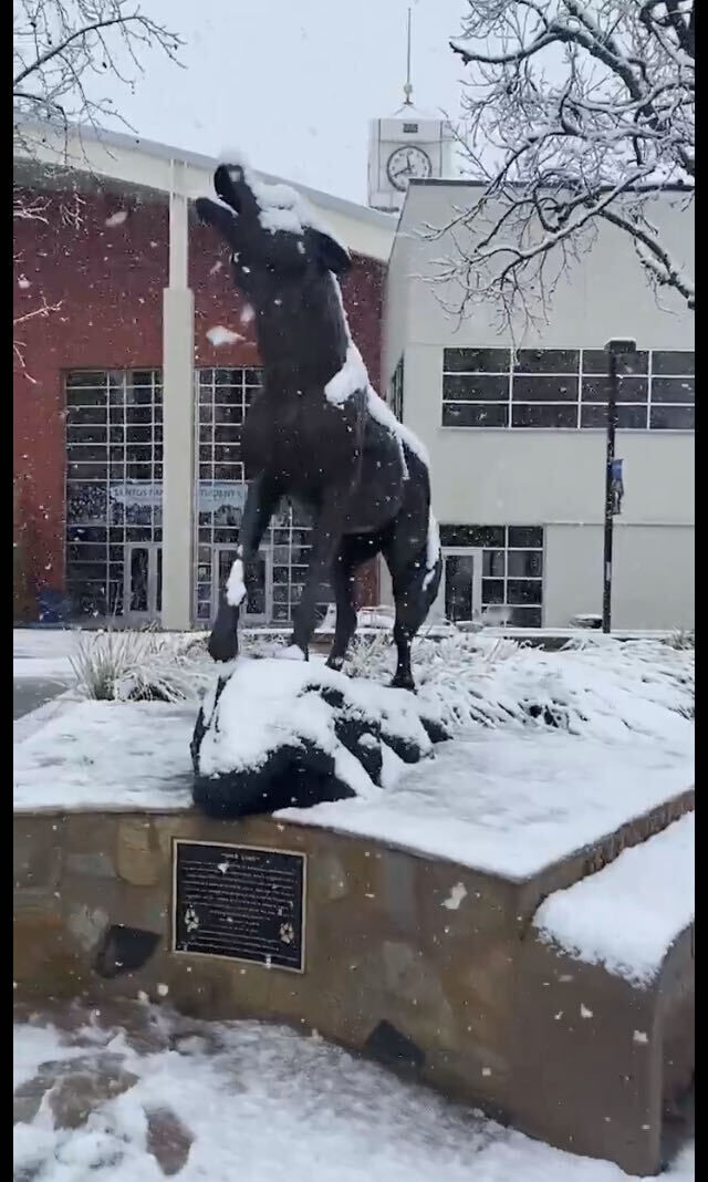 ���� 34119647 ������� Ibrahem, 33 ����, ���� ���������� � ��������