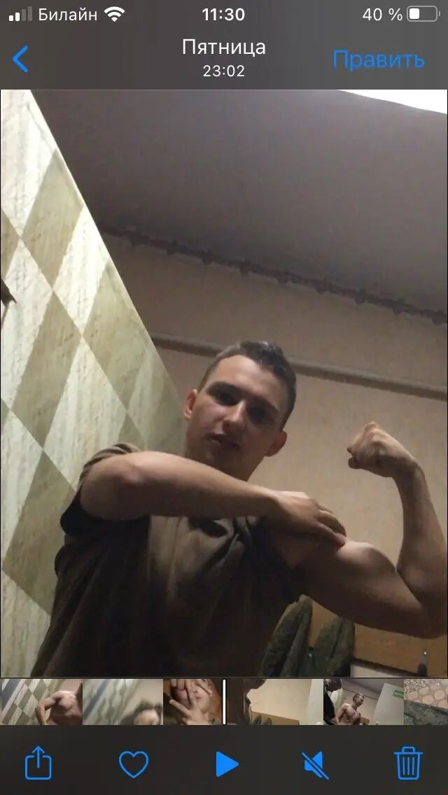  33465817  , 23 ,    -