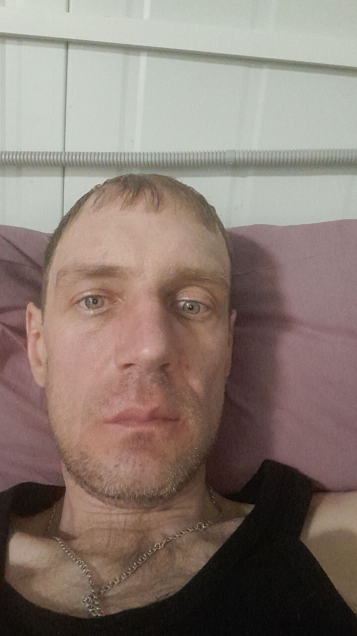  50014657  , 41 ,    