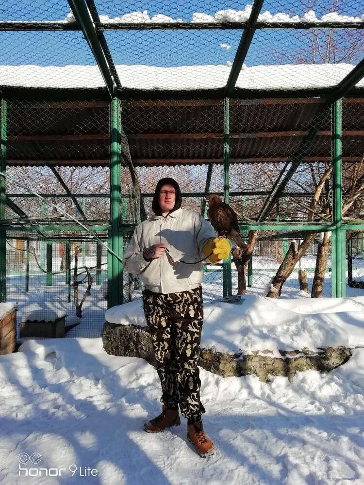 ���� 31510867 ������� ���������, 29 ���, ���� ���������� � �����