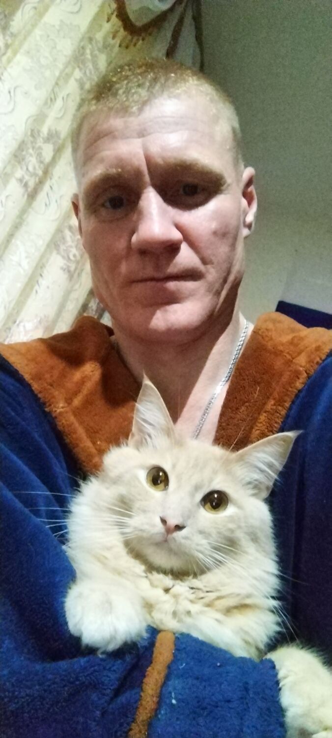  53840687  Alexei, 41 ,    