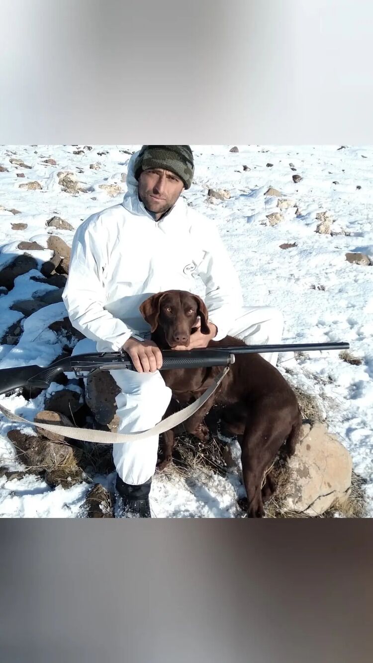 ���������� ���������, ���� ������� ����, 33 ����, ������������ ��� ������, ����� � ���������