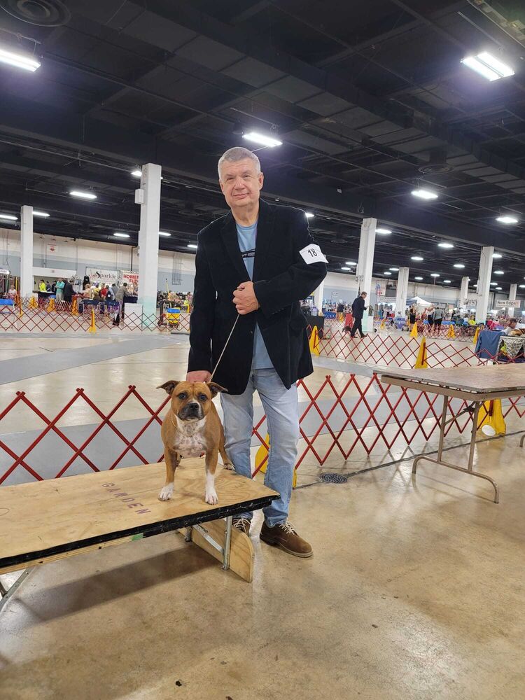 ���������� ������, ���� ������� ��������, 63 ����, ������������ ��� ������