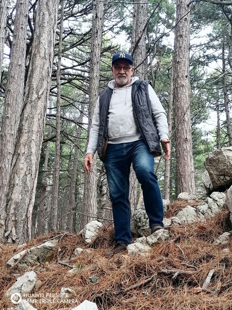 ���� 50369107 ������� ��������, 65 ���, ���� ���������� � �����������