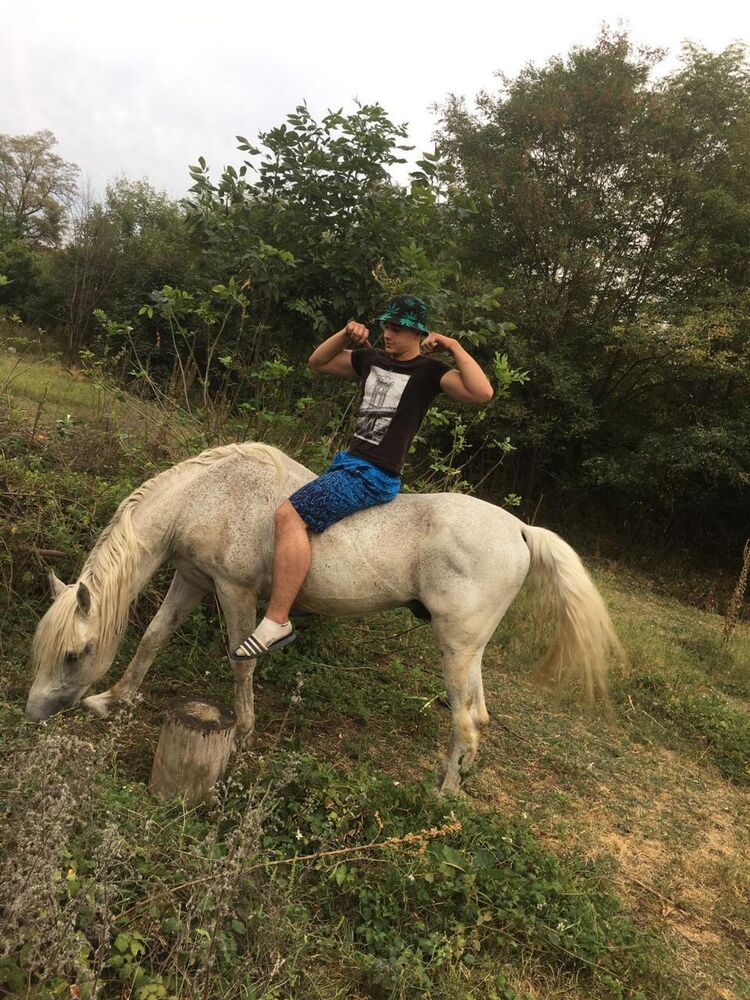 ���� 29347307 ����� �����, 24 ����, ���� ���������� � ������������