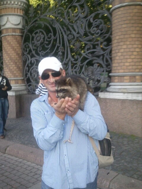 ���� 8013717 ������� ������, 55 ���, ���� ���������� � �����-����������