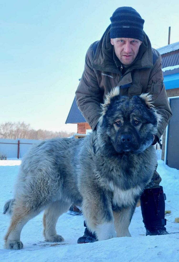 ���� 25436637 ������� ������, 43 ����, ���� ���������� � ��������