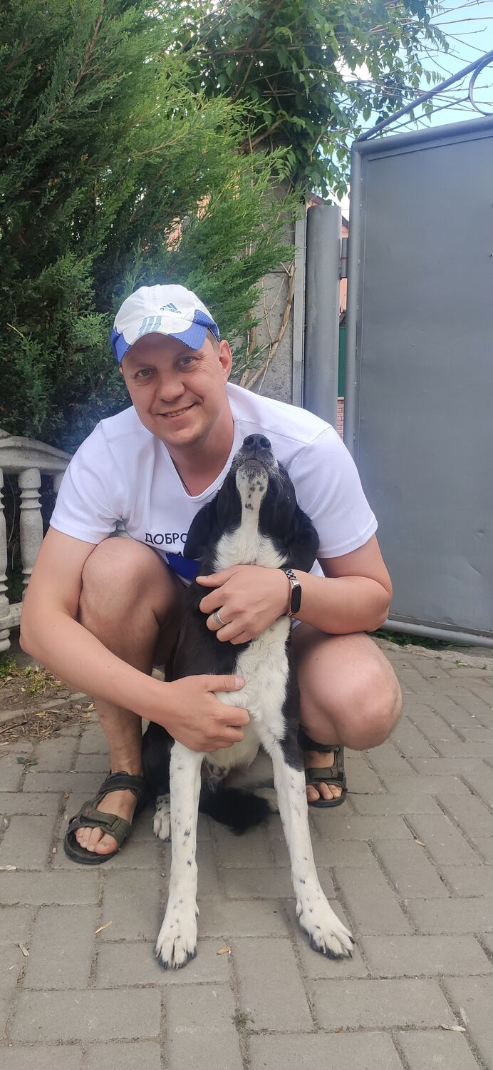 ���������� �������, ���� ������� �����, 37 ���, ������������ ��� ������, ����� � ���������, c�������� ���������