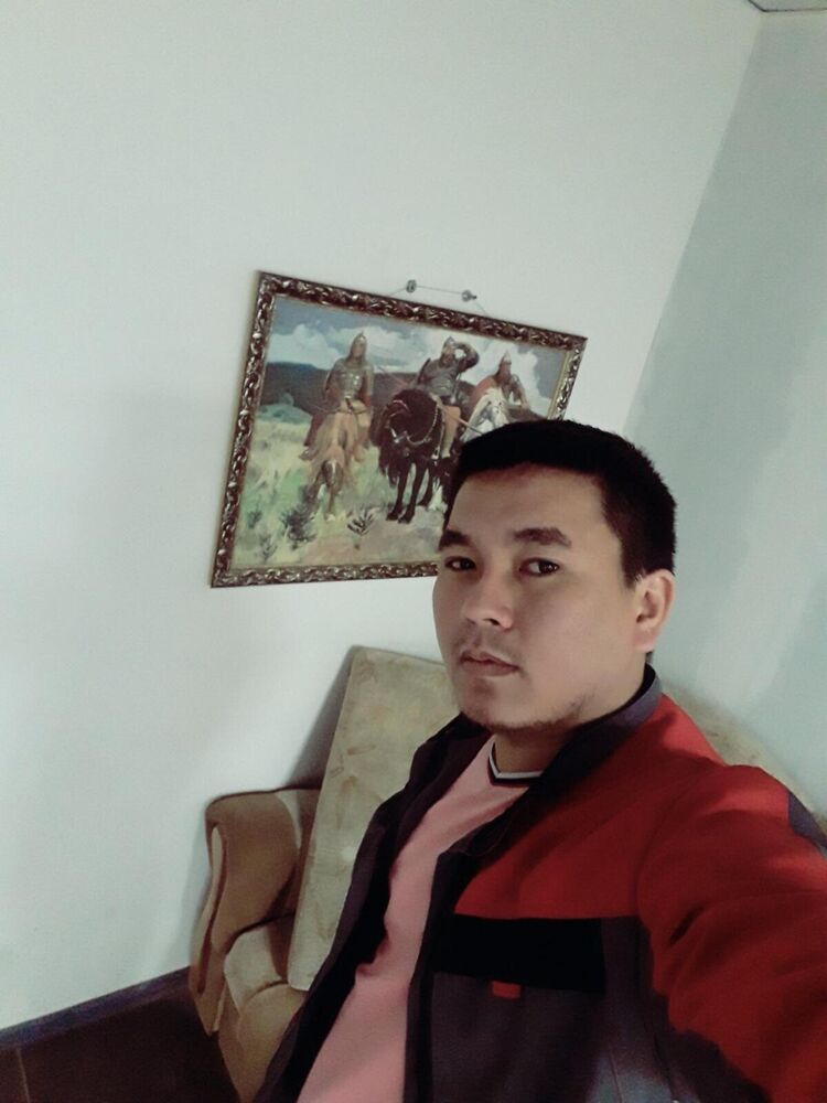  31487677  , 31 ,    