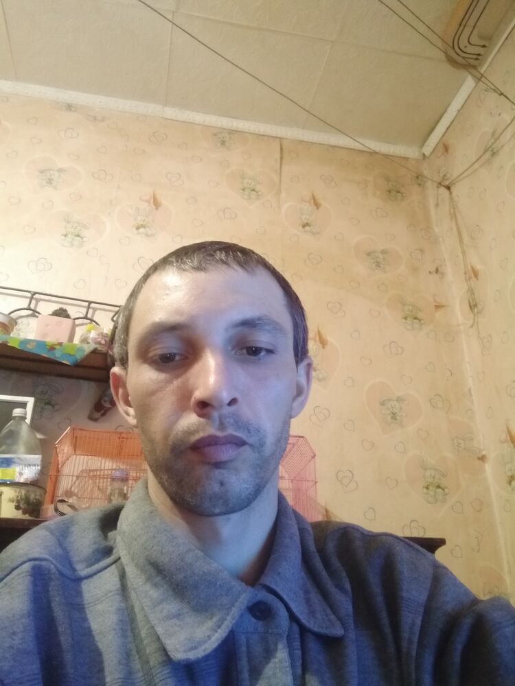  42248617  Vladimir, 34 ,    