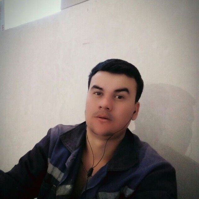  16686047  , 31 ,    -