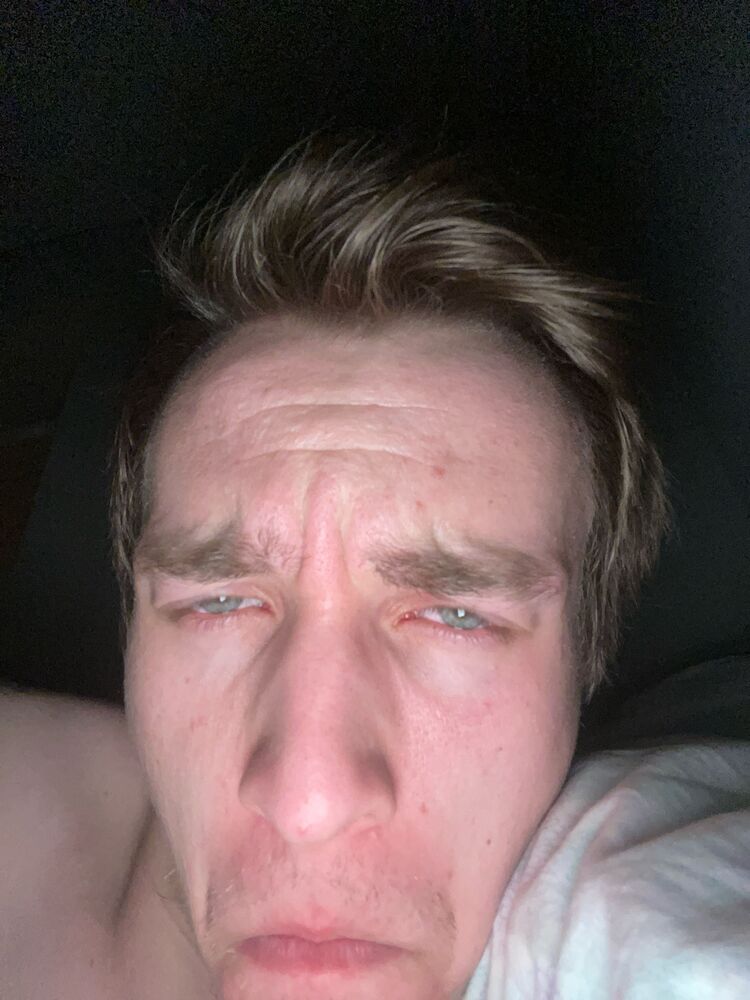  53377197  , 24 ,    