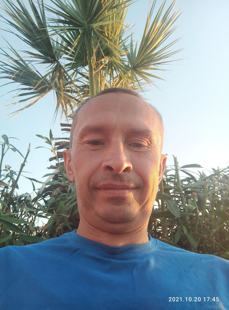  26706147  , 46 ,    