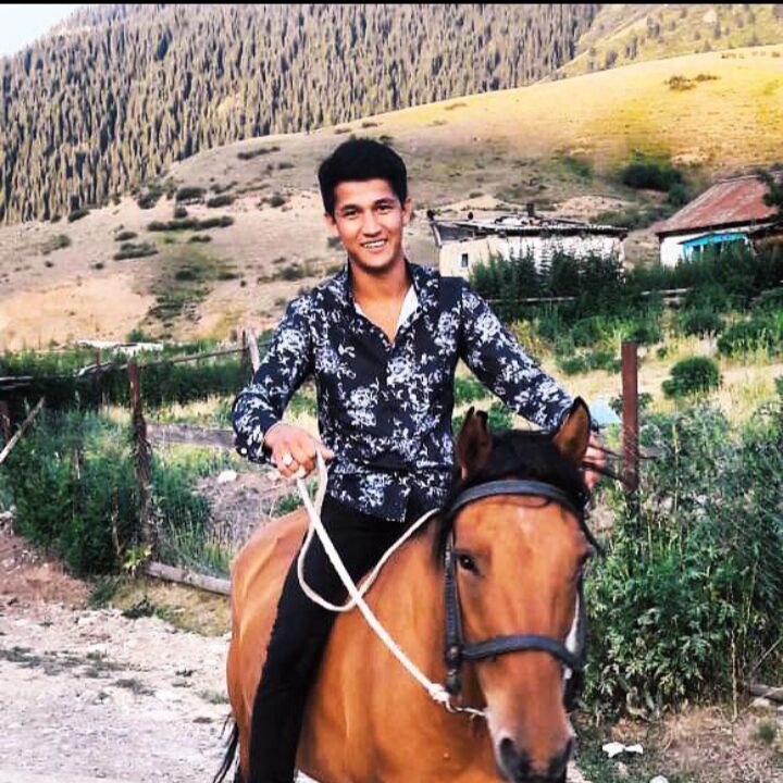 ���� 23516517 ������� ��� �����, 31 ���, ���� ���������� � ������