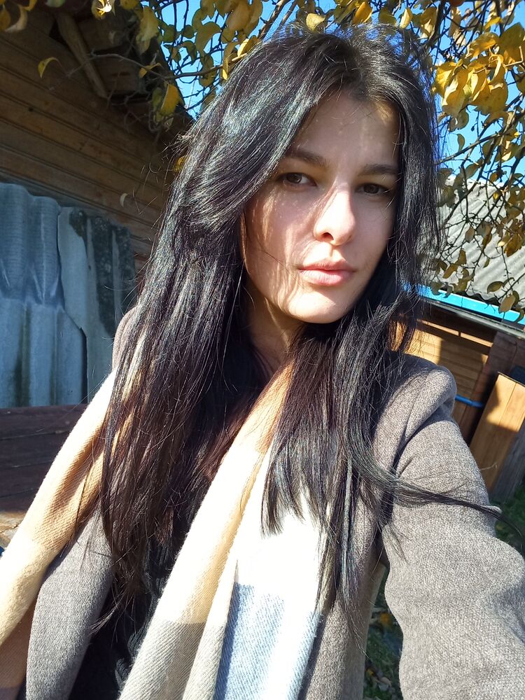  43921177  , 31 ,    
