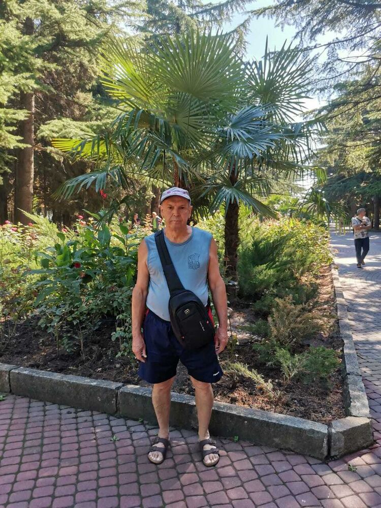  53816067  , 68 ,    --