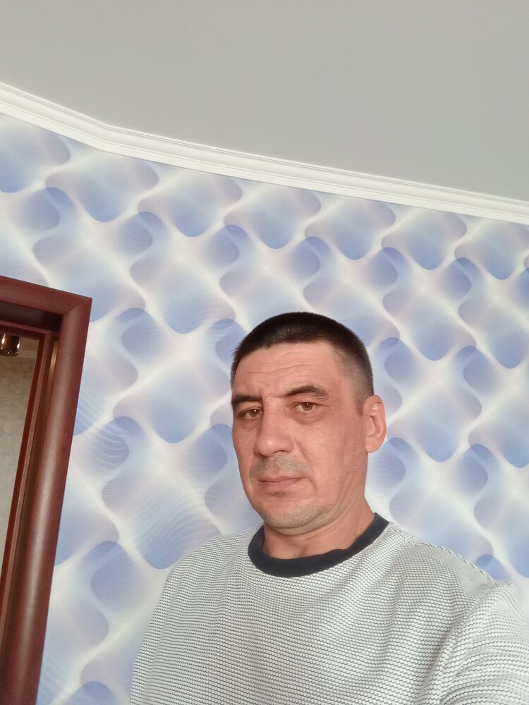  48704397  , 43 ,    