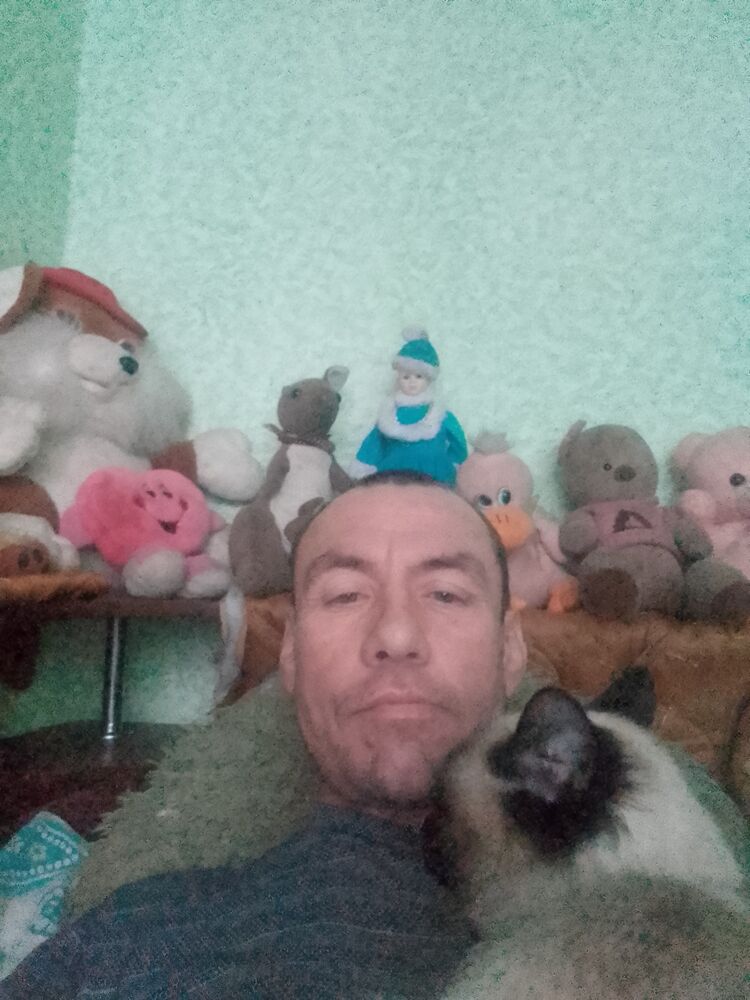  ,   , 46 ,   ,   