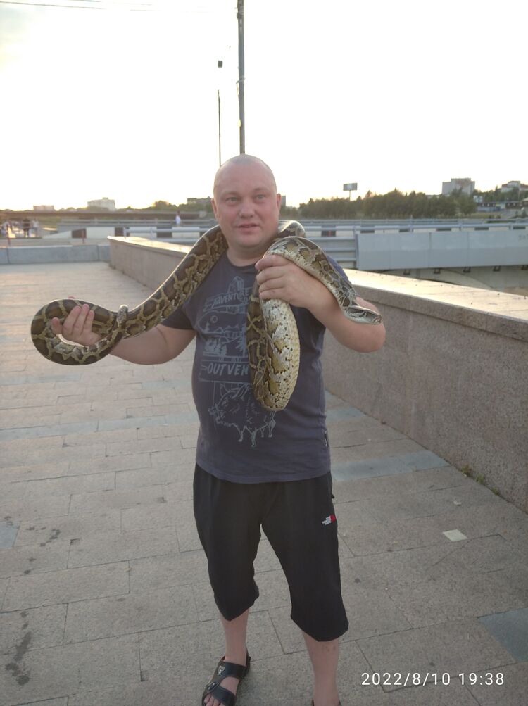 ���������� ��������, ���� ������� �������, 45 ���, ������������ ��� ������, ����� � ���������