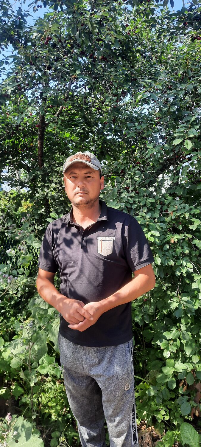 ���� 45359197 ������� �����, 41 ���, ���� ���������� � ������ ���������