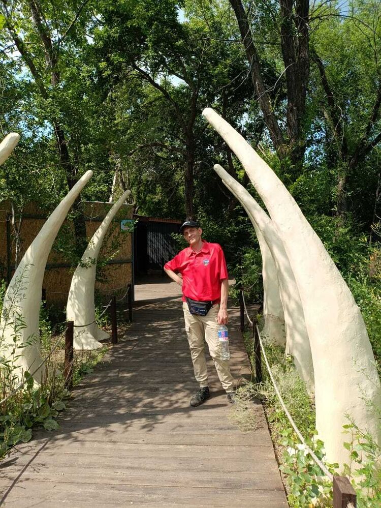 ���������� ������������, ���� ������� ���������, 44 ����, ������������ ��� c�������� ���������