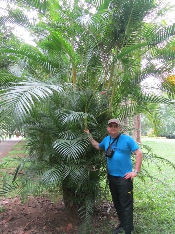 ���������� �������, ���� ������� ���������, 45 ���, ������������ ��� ������, ����� � ���������, c�������� ���������